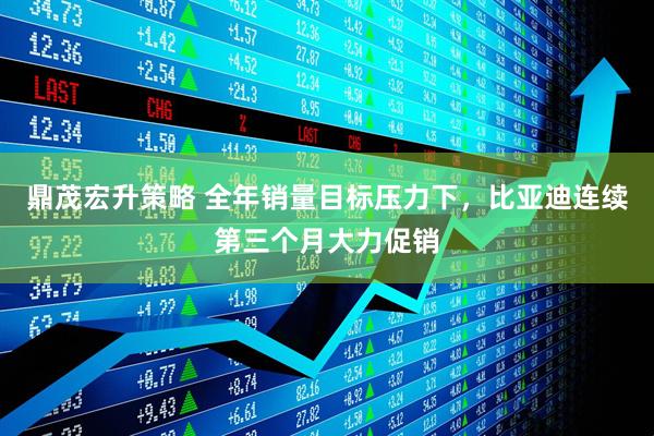 鼎茂宏升策略 全年销量目标压力下，比亚迪连续第三个月大力促销