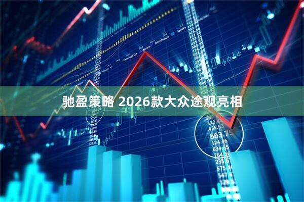 驰盈策略 2026款大众途观亮相