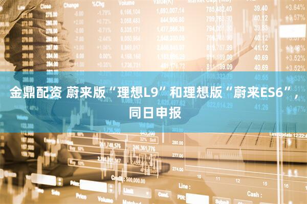 金鼎配资 蔚来版“理想L9”和理想版“蔚来ES6”, 同日申报