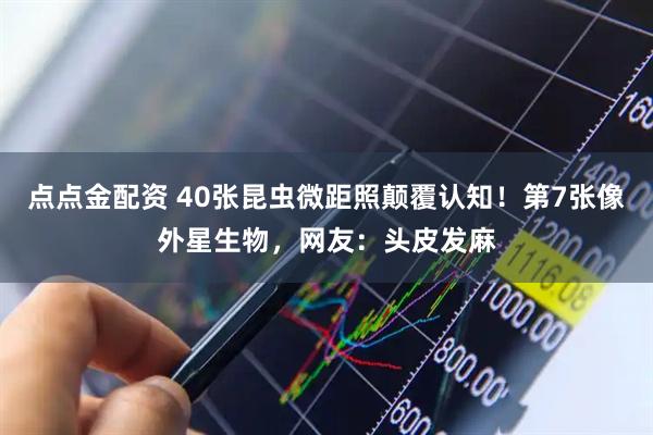 点点金配资 40张昆虫微距照颠覆认知！第7张像外星生物，网友：头皮发麻