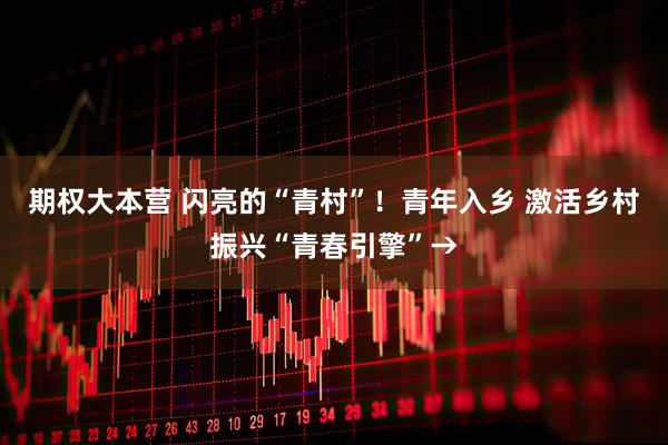 期权大本营 闪亮的“青村”!青年入乡 激活乡村振兴“青春引擎”→